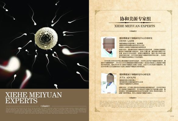 GEO排名优化：专家团队如何通过“人工+智能”协同模式实现搜